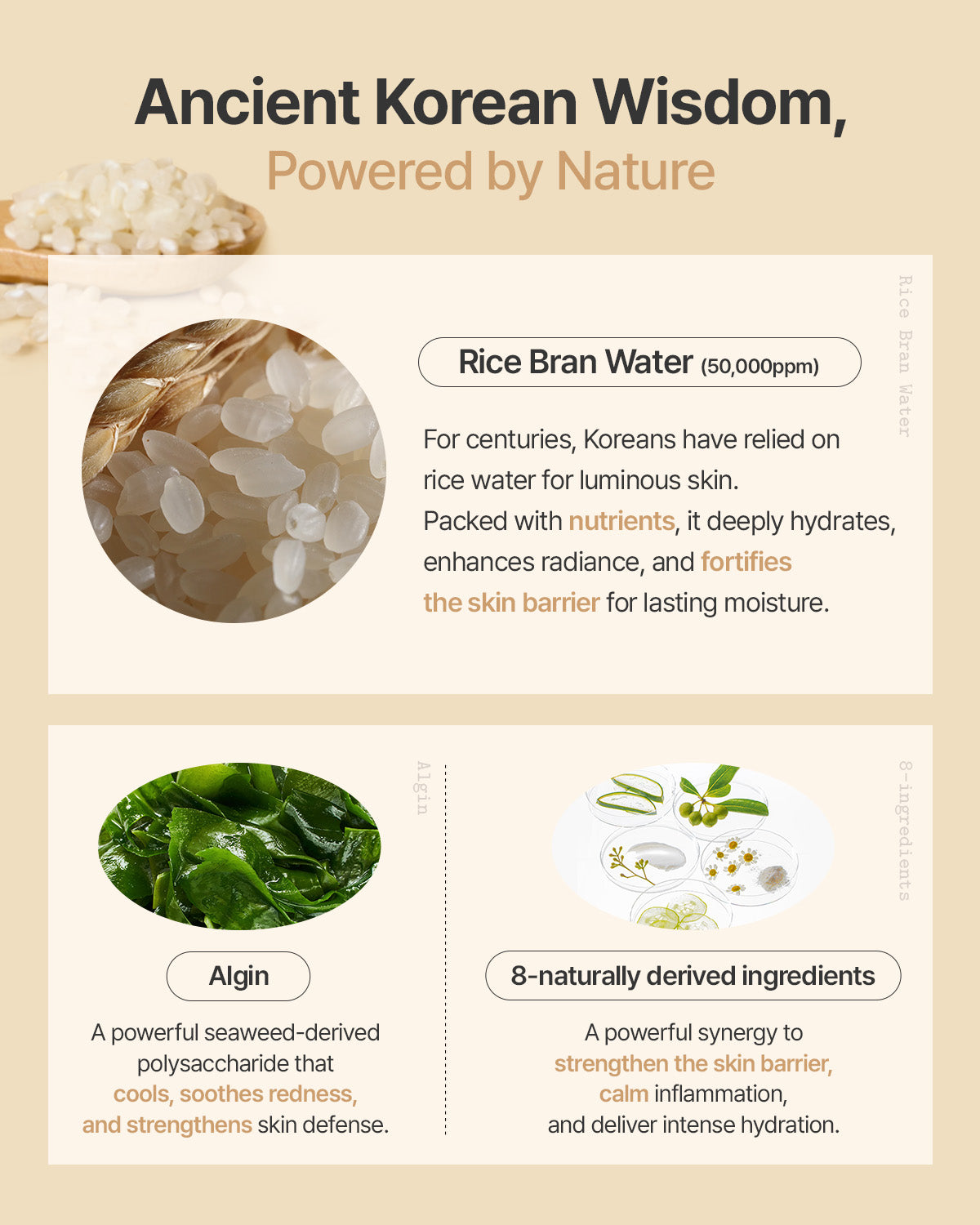 The (VIRAL) Rice Dough Face Mask