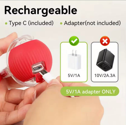 SmartRoll™ Motion Pet Toy